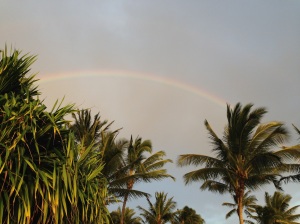 rainbow, Hawaii, Kauai, palm trees, spiritual