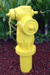 dogs, hydrant