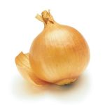 onion, energy, vegetable