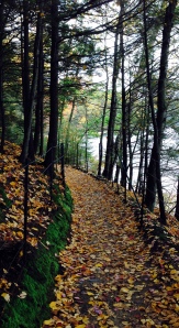 New England path, Walden Pond