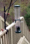 cardinals, bird feeder
