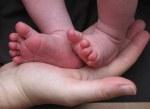 Baby's feet by Pamela S. Wight