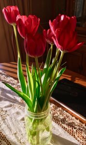 tulips, flowers, Valentine's Day