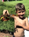 lobster, how to hold a lobster
