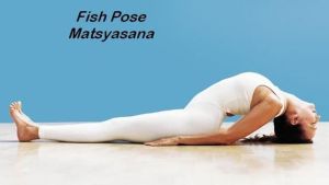 fish pose, yoga