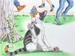 illustrated children's book, picture book, cat