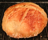 no-knead bread, baking, bread