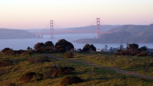 golden gate bridge, San Francisco, Marin County, blog suspense