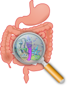 appendix, GI, health care workers, Pixabay