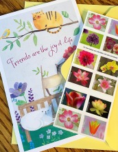snail mail, birthday cards, mail, stamps